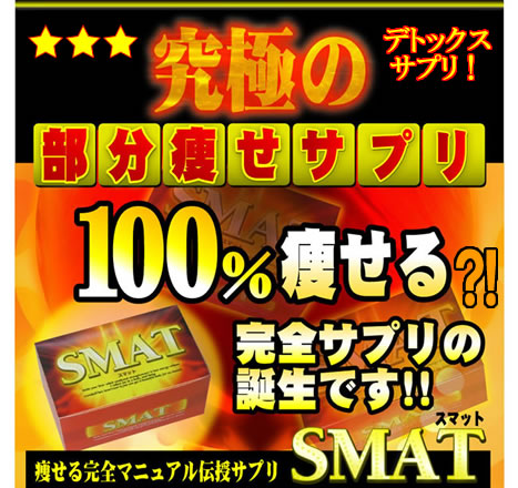 ���������T�v���`SMAT�`